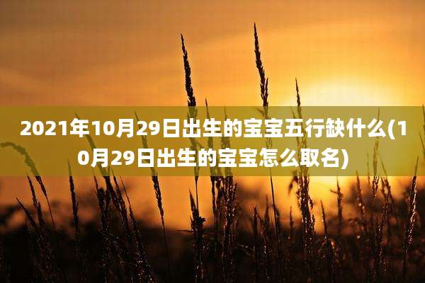 2021年10月29日出生的宝宝五行缺什么(10月29日出生的宝宝怎么取名)