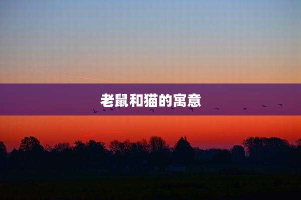 老鼠和猫的寓意