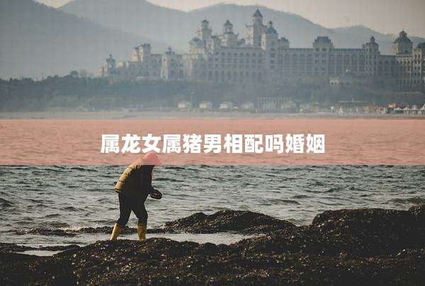 属龙女属猪男相配吗婚姻