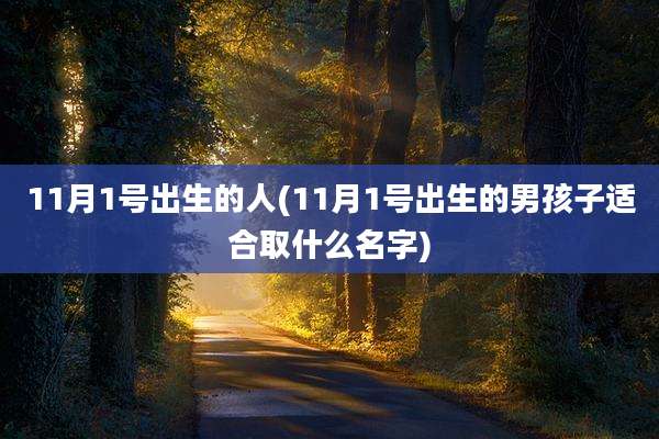 11月1号出生的人(11月1号出生的男孩子适合取什么名字)