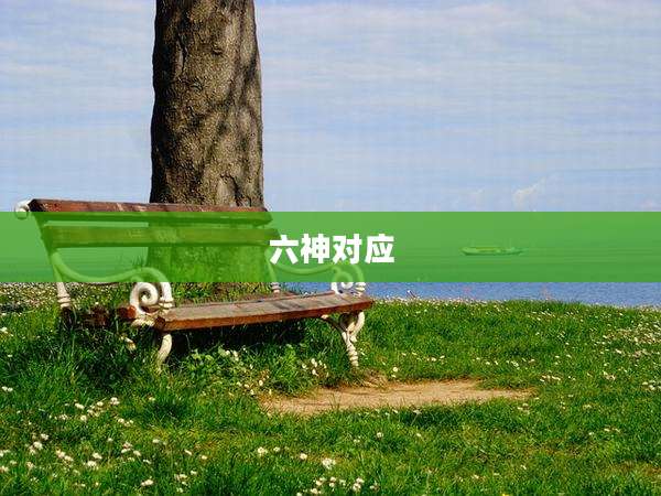 六神对应