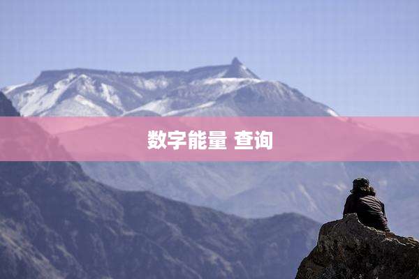 数字能量 查询