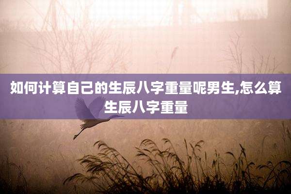 如何计算自己的生辰八字重量呢男生,怎么算生辰八字重量