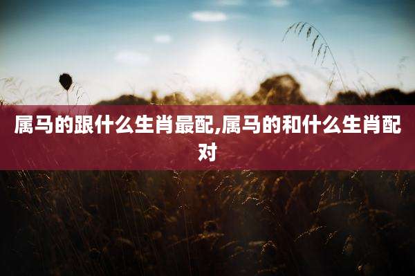 属马的跟什么生肖最配,属马的和什么生肖配对