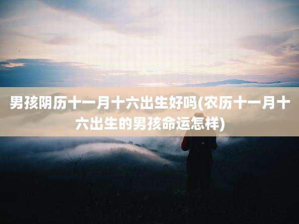 男孩阴历十一月十六出生好吗(农历十一月十六出生的男孩命运怎样)