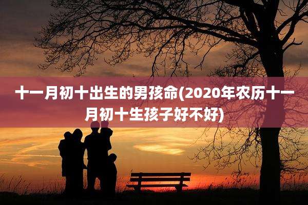 十一月初十出生的男孩命(2020年农历十一月初十生孩子好不好)