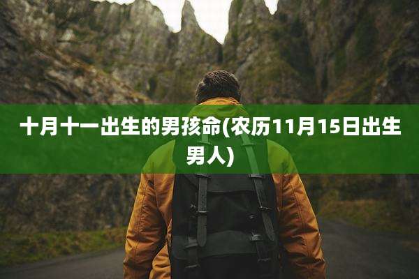 十月十一出生的男孩命(农历11月15日出生男人)
