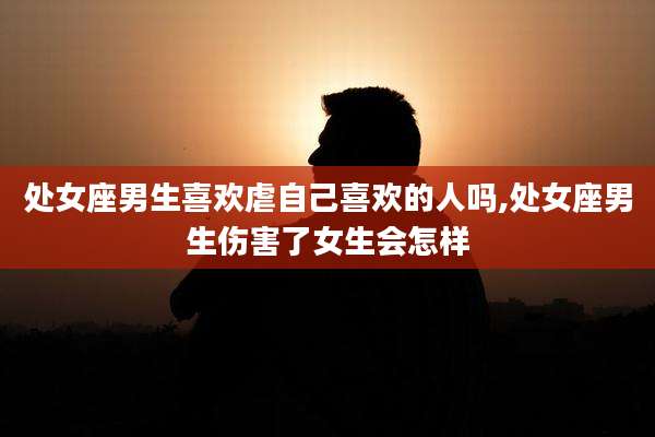 处女座男生喜欢虐自己喜欢的人吗,处女座男生伤害了女生会怎样