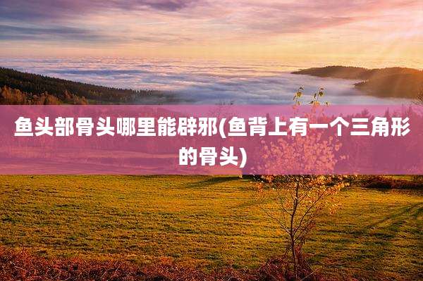 鱼头部骨头哪里能辟邪(鱼背上有一个三角形的骨头)