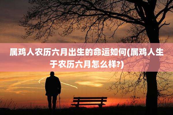 属鸡人农历六月出生的命运如何(属鸡人生于农历六月怎么样?)