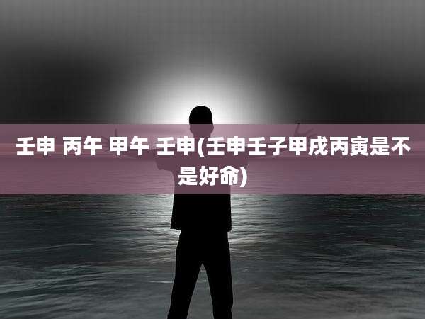 壬申 丙午 甲午 壬申(壬申壬子甲戌丙寅是不是好命)