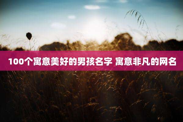 100个寓意美好的男孩名字 寓意非凡的网名