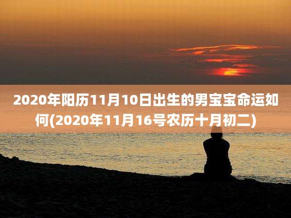 2020年阳历11月10日出生的男宝宝命运如何(2020年11月16号农历十月初二)