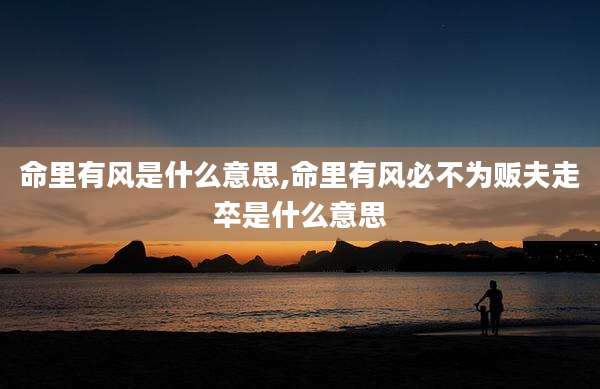 命里有风是什么意思,命里有风必不为贩夫走卒是什么意思