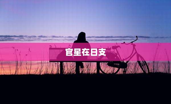 官星在日支