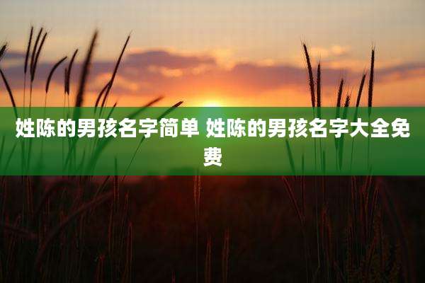 姓陈的男孩名字简单 姓陈的男孩名字大全免费