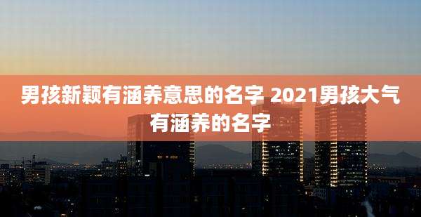男孩新颖有涵养意思的名字 2021男孩大气有涵养的名字