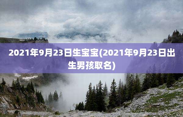 2021年9月23日生宝宝(2021年9月23日出生男孩取名)