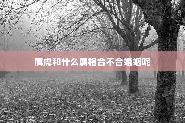 属虎和什么属相合不合婚姻呢