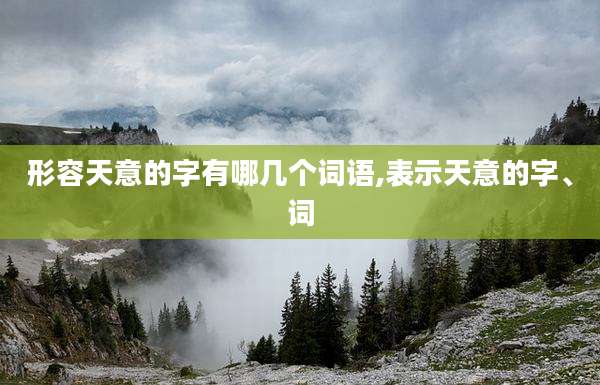 形容天意的字有哪几个词语,表示天意的字、词