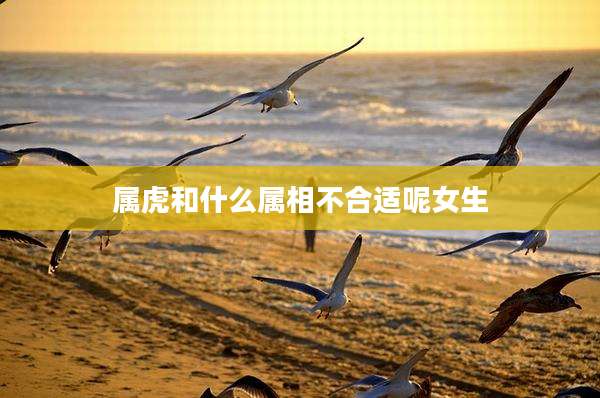 属虎和什么属相不合适呢女生