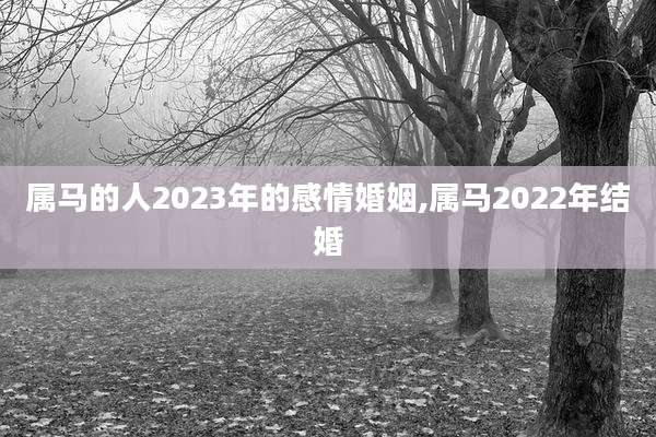 属马的人2023年的感情婚姻,属马2022年结婚