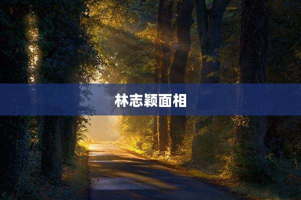 林志颖面相