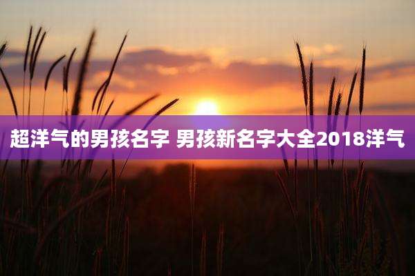 超洋气的男孩名字 男孩新名字大全2018洋气