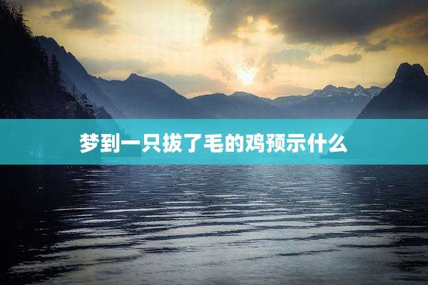 梦到一只拔了毛的鸡预示什么