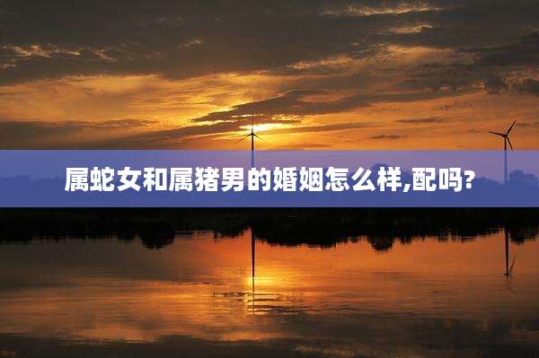 属蛇女和属猪男的婚姻怎么样,配吗?
