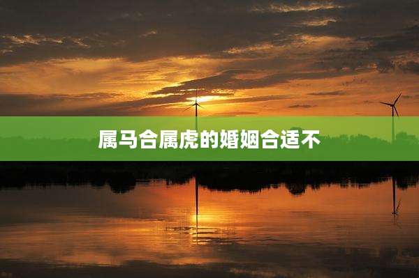 属马合属虎的婚姻合适不