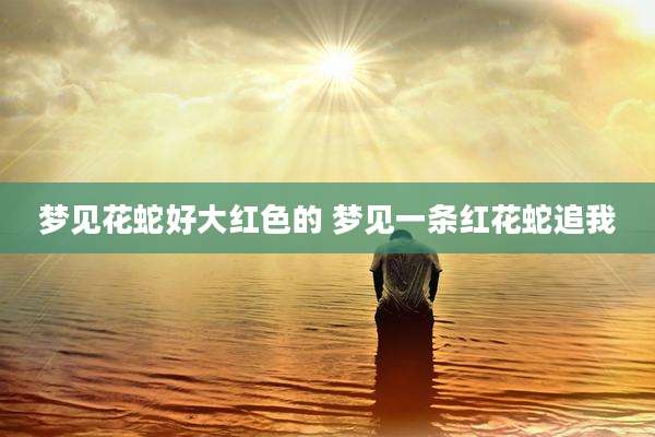 梦见花蛇好大红色的 梦见一条红花蛇追我
