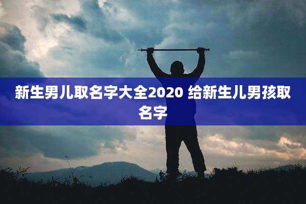 新生男儿取名字大全2020 给新生儿男孩取名字