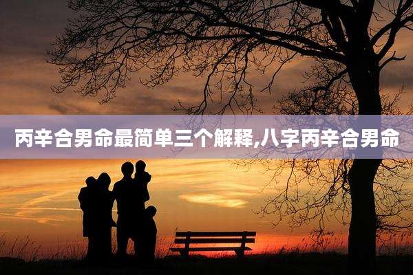 丙辛合男命最简单三个解释,八字丙辛合男命