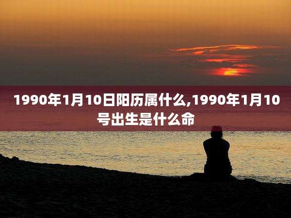 1990年1月10日阳历属什么,1990年1月10号出生是什么命