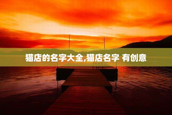 猫店的名字大全,猫店名字 有创意
