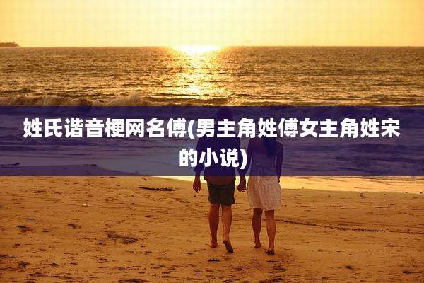 姓氏谐音梗网名傅(男主角姓傅女主角姓宋的小说)