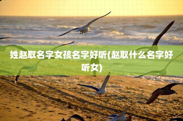 姓赵取名字女孩名字好听(赵取什么名字好听女)