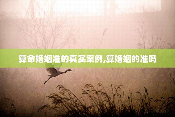 算命婚姻准的真实案例,算婚姻的准吗