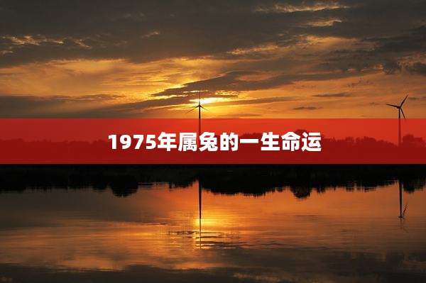 1975年属兔的一生命运
