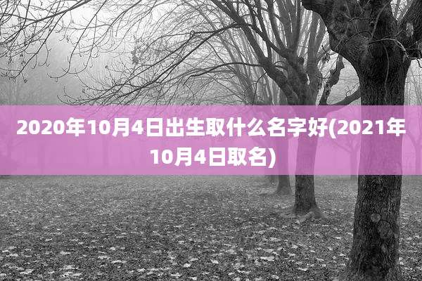 2020年10月4日出生取什么名字好(2021年10月4日取名)