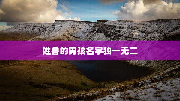 姓鲁的男孩名字独一无二