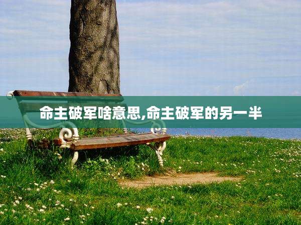 命主破军啥意思,命主破军的另一半