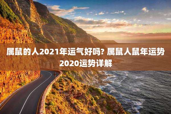属鼠的人2021年运气好吗? 属鼠人鼠年运势2020运势详解