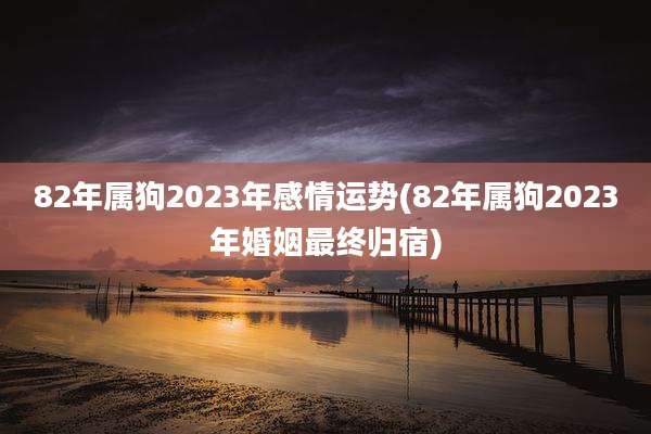 82年属狗2023年感情运势(82年属狗2023年婚姻最终归宿)