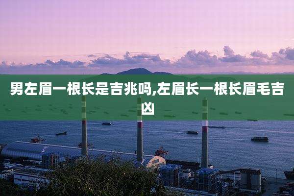 男左眉一根长是吉兆吗,左眉长一根长眉毛吉凶