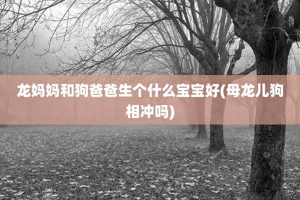龙妈妈和狗爸爸生个什么宝宝好(母龙儿狗相冲吗)