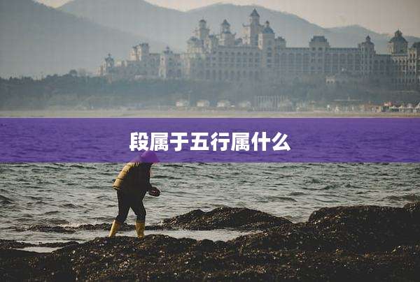 段属于五行属什么