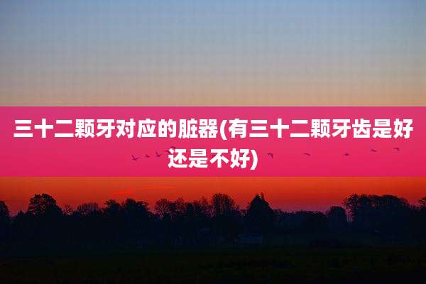 三十二颗牙对应的脏器(有三十二颗牙齿是好还是不好)