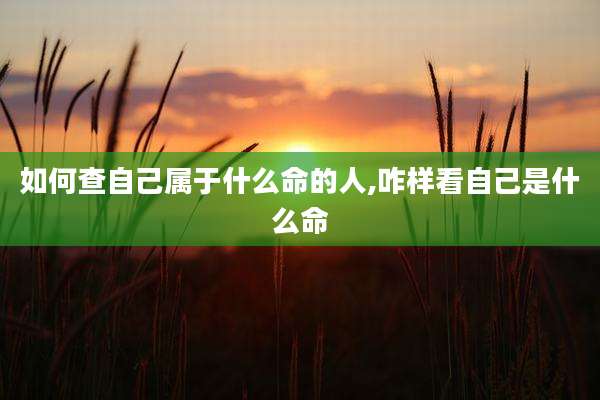 如何查自己属于什么命的人,咋样看自己是什么命